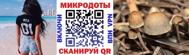 Галлюциногенные грибы ЛСД  Ясногорск 